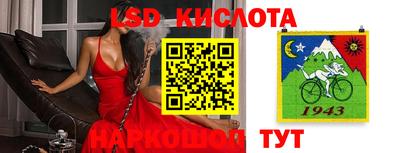 стафф Будённовск