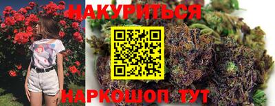 стафф Будённовск