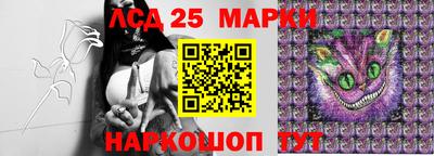 стафф Будённовск