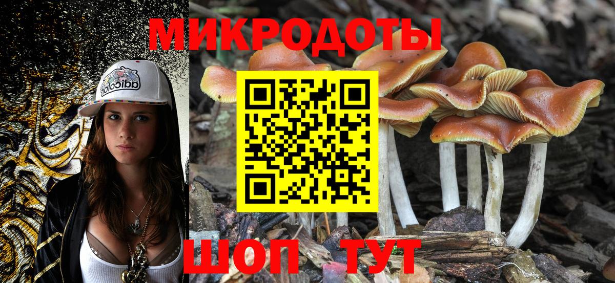 Галлюциногенные грибы Cubensis Ревда